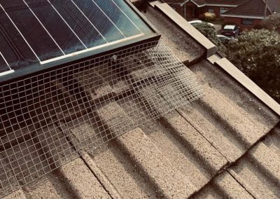 Solar Panel Meshing Lincolnshire