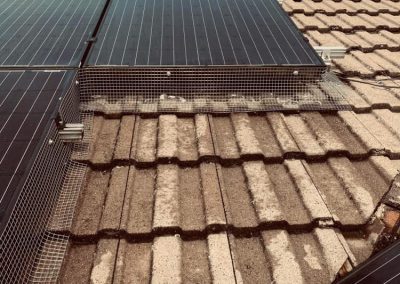 Solar Panel Meshing Lincolnshire