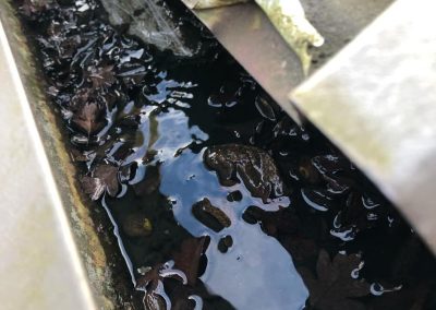 Commercial Gutter Cleaning Grimsby