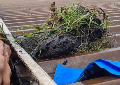 Commercial Gutter Cleaning Grimsby